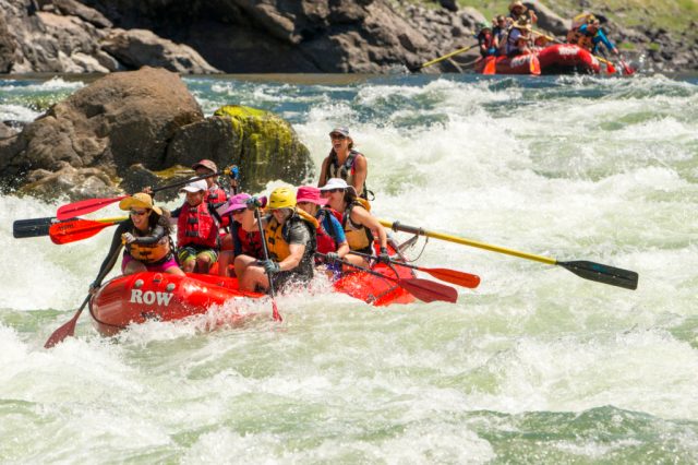 160803cc-0690-1024x683