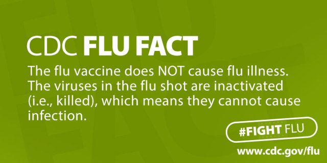 CDC_Flu_Facts_Twitter_Green_large