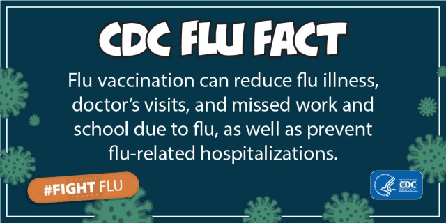 flu-facts