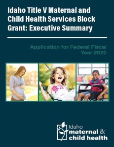 MCHBlockGrantApplication